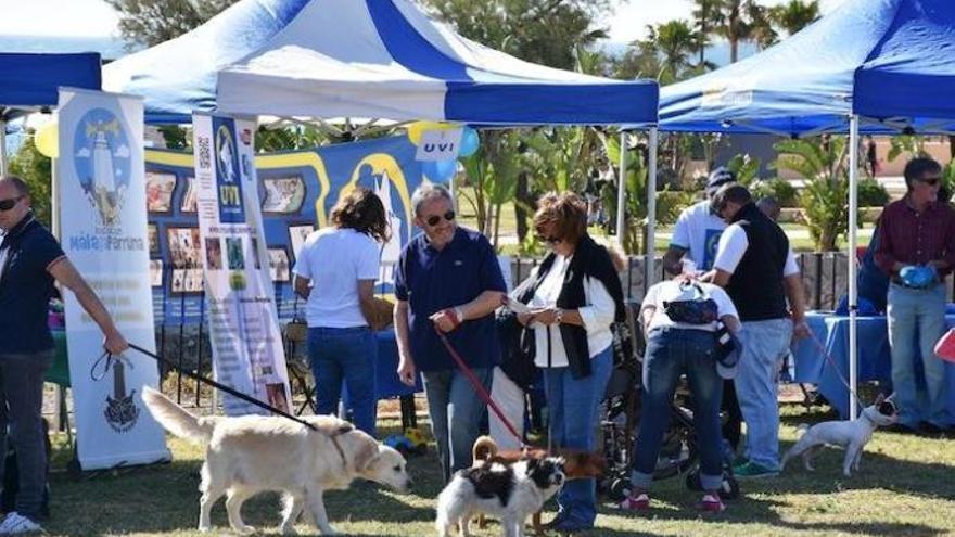 Fuengirola celebra el X Día del Perro este domingo en el Castillo Sohail