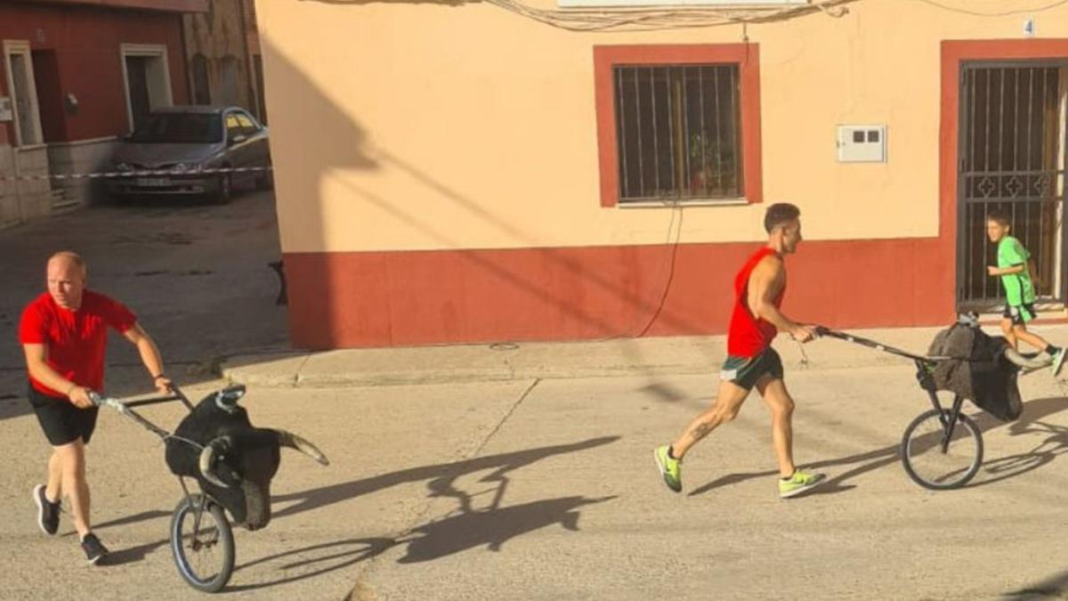 Los carretones salen por las calles de Morales de Toro. | Cedida