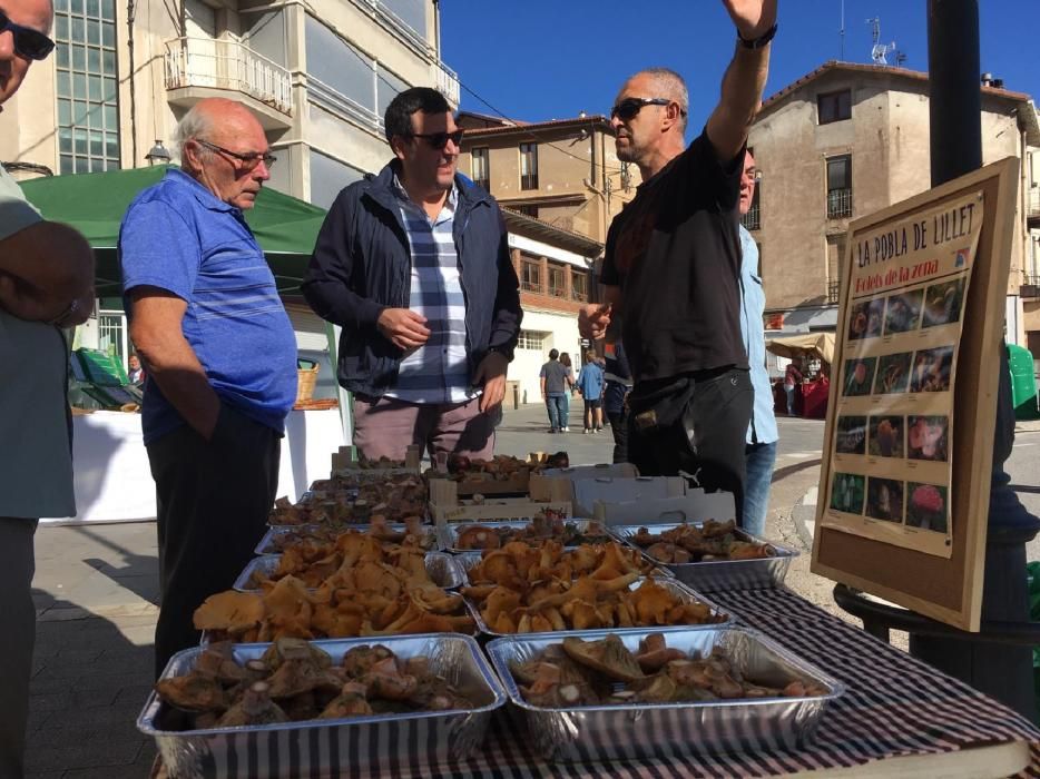 29a edició de la Fira del Bolet i el Boletaire de