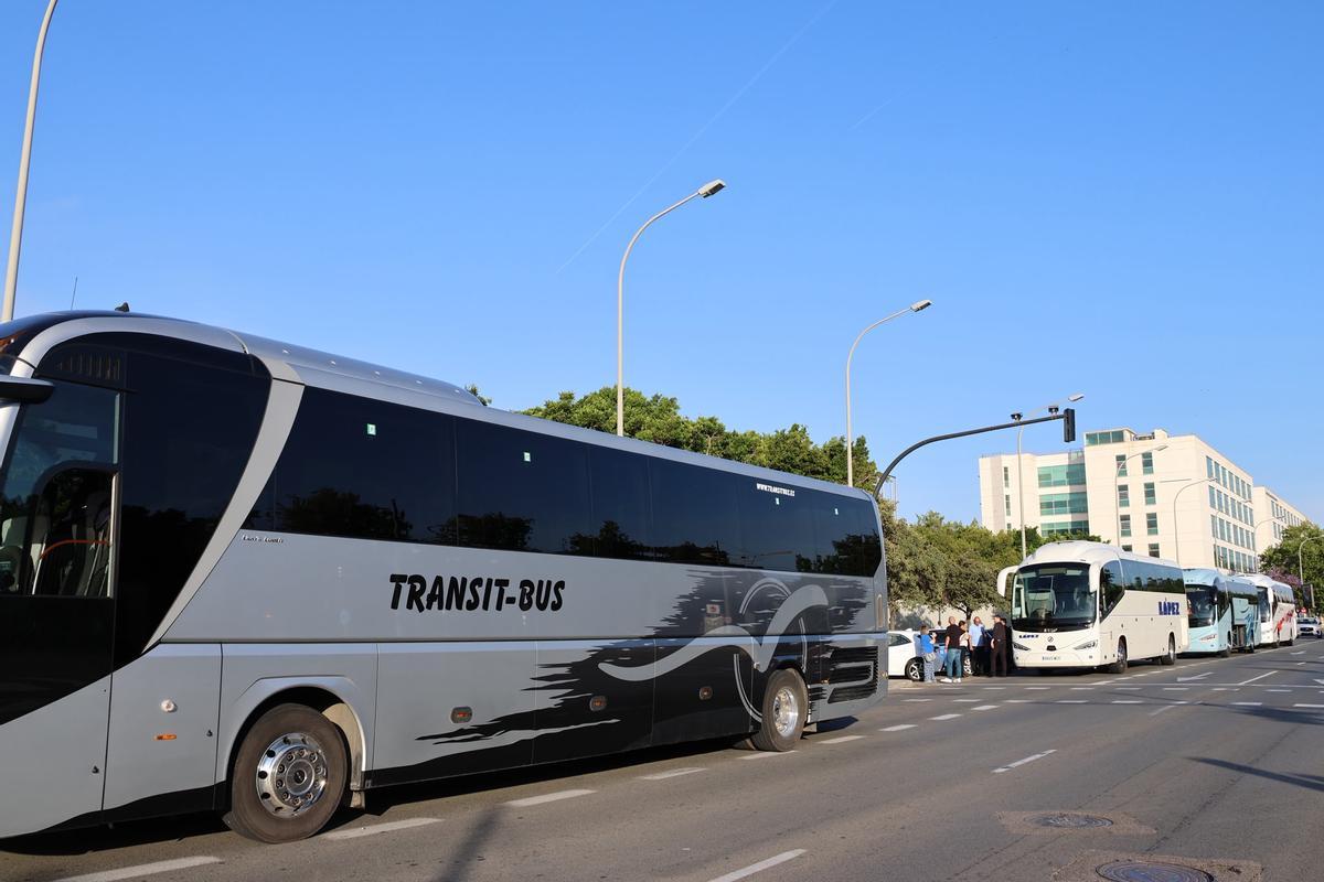 Hasta 1.700 valencianos, rumbo a ver al papa León XIV