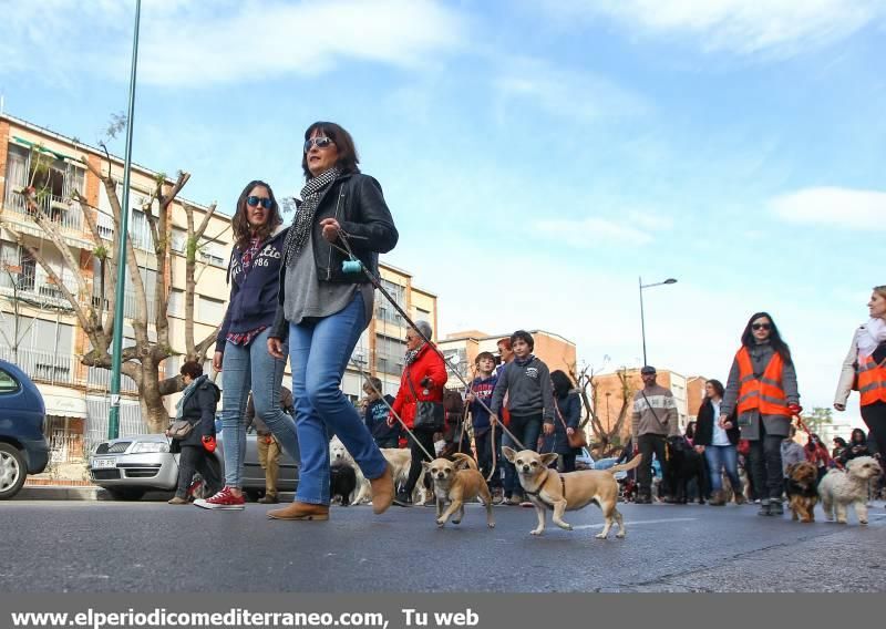 Castellón se vuelca con Sant Antoni