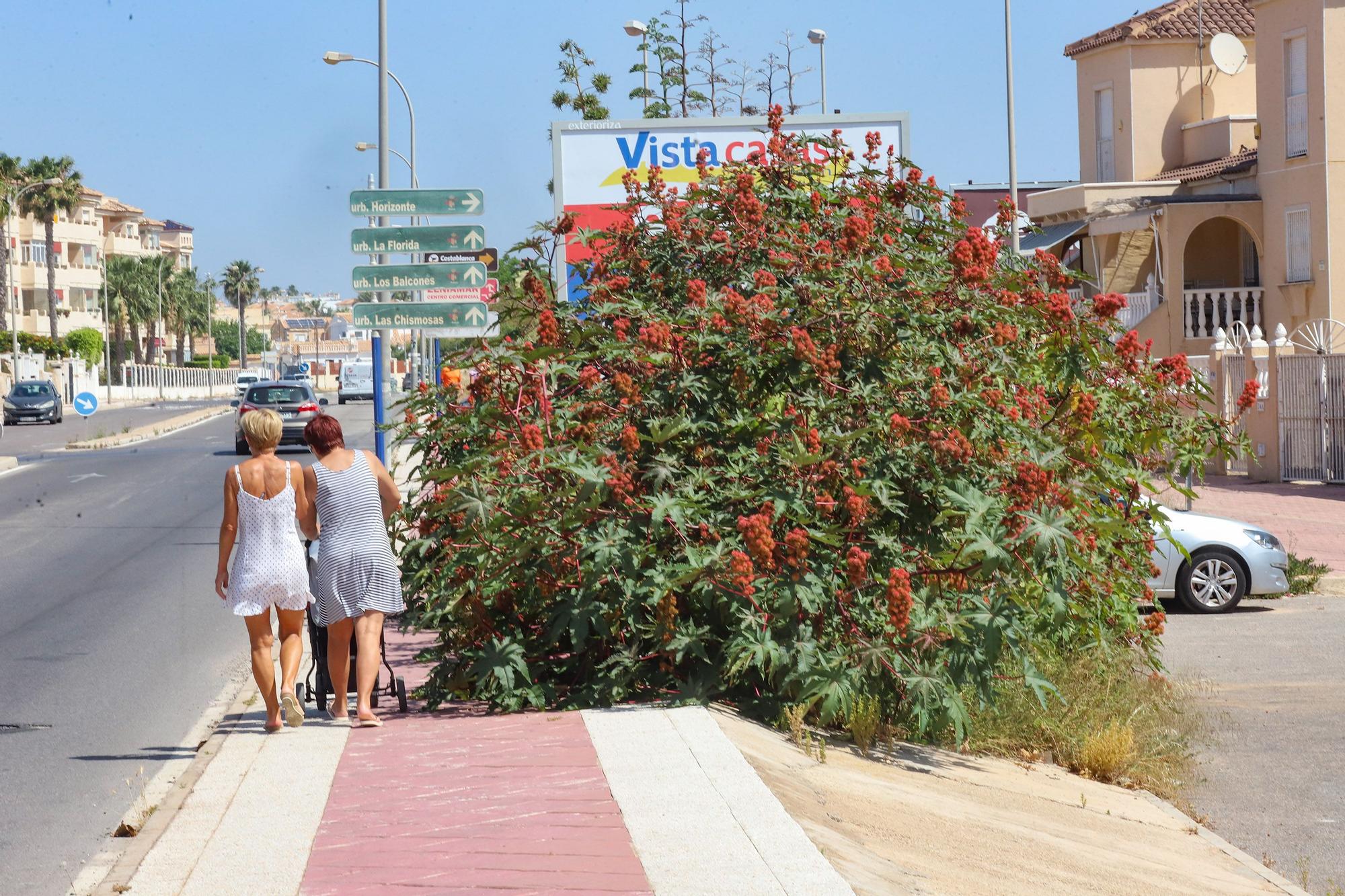 Parques en Orihuela Costa con deficiencias en el mantenimiento