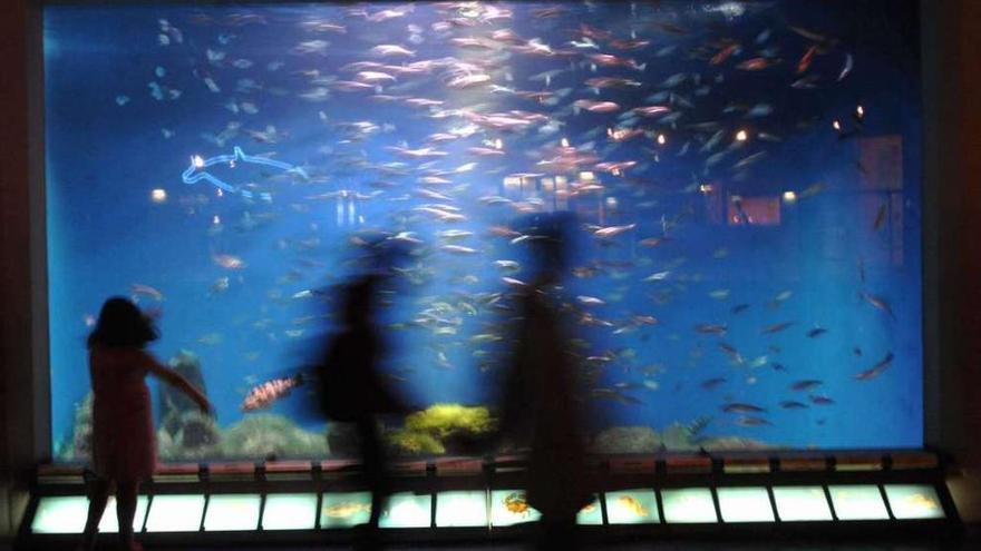 Imagen del interior de la Casa de los Peces. fran martínez