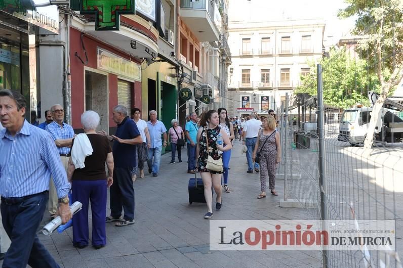 El día después de la caída de la rama del ficus de