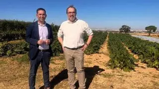 La finca de inserción sociolaboral de Cáritas en Dos Hermanas amplía sus zonas de arbolado con una nueva donación del Vivero Provincial
