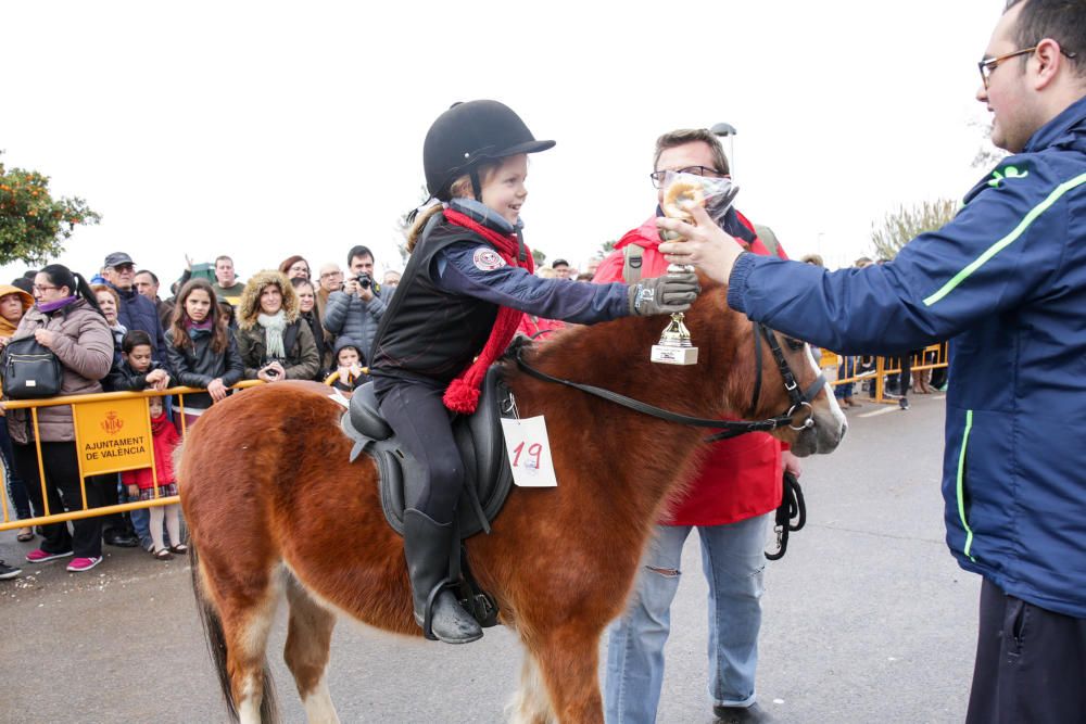 Fiesta de Sant Antoni en la ermita de vera