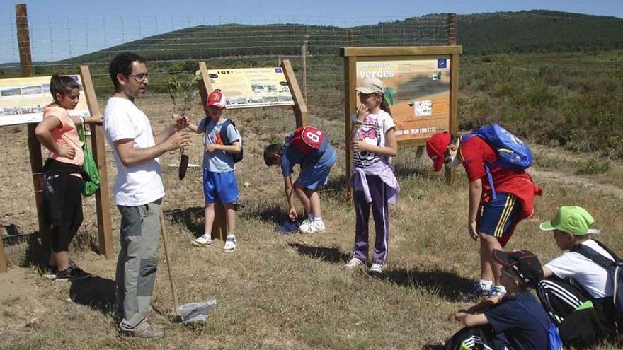 Los escolares atienden las explicaciones en el área didáctica.