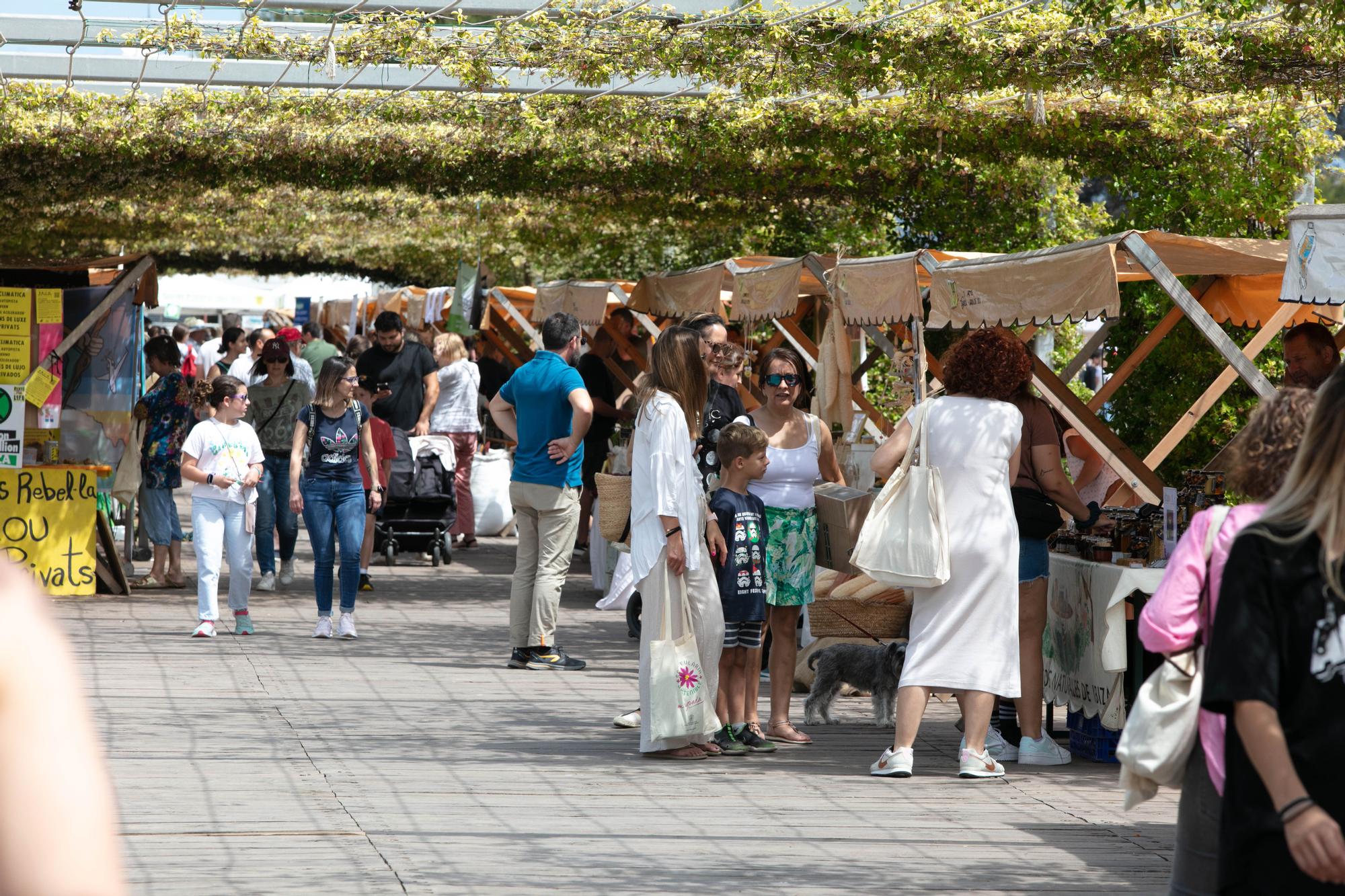 Mira aquí todas las fotos de la feria ECO UC de Santa Eulària