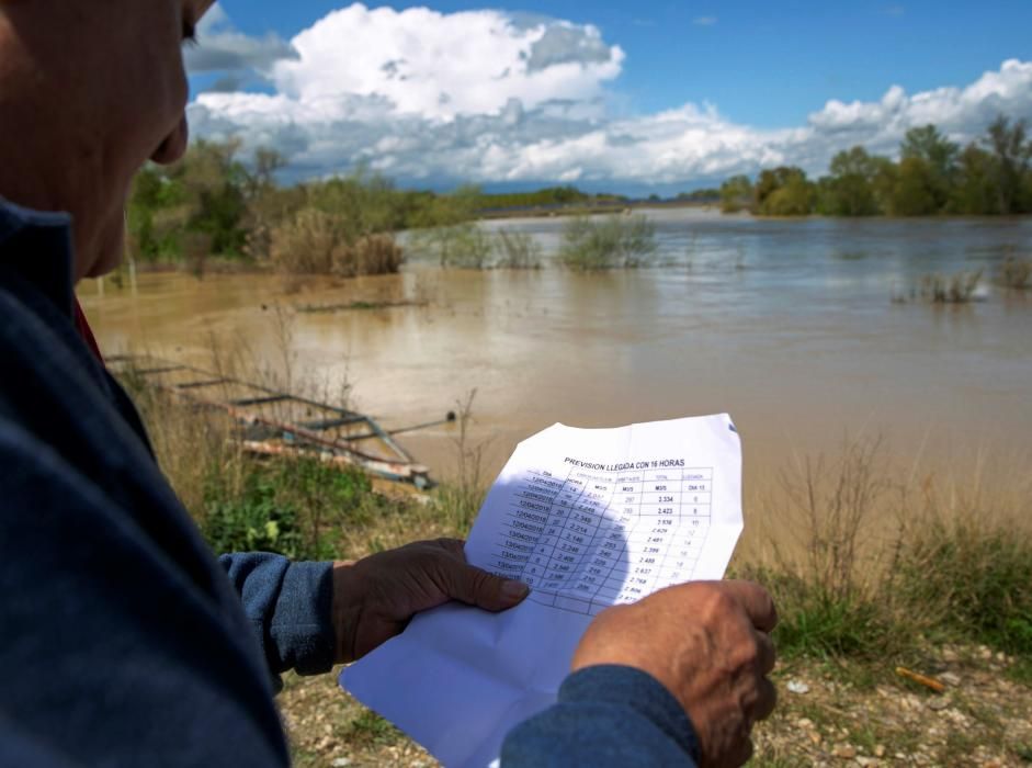 El río Ebro está a punto de desbordarse