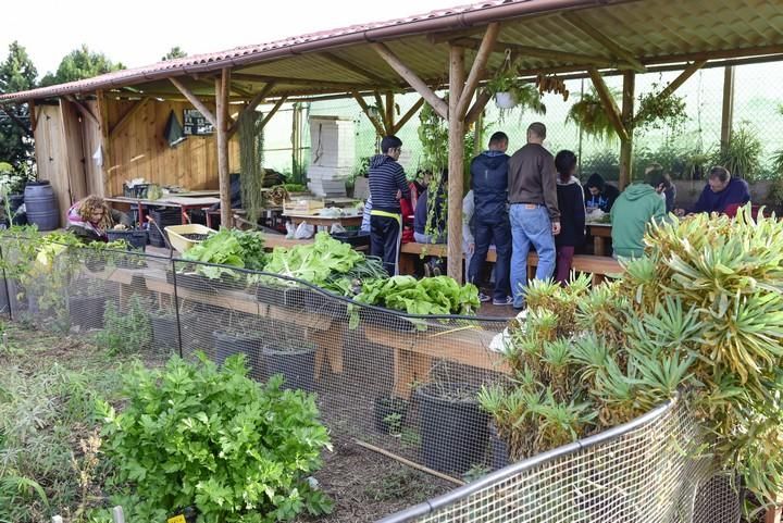 Visita escolar a la Granja Agricola del Cabildo