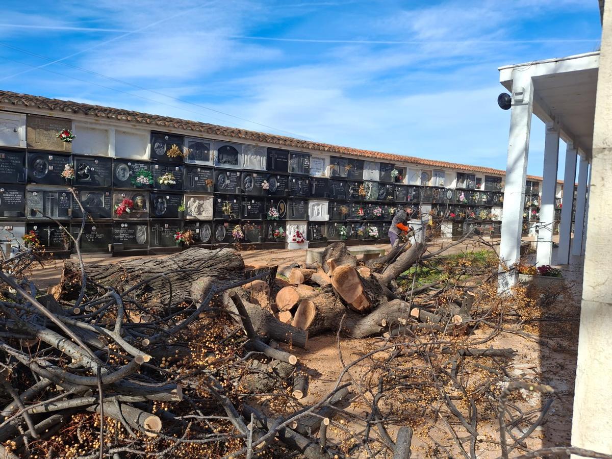 La actuación de los operarios municipales ha sido rápida.