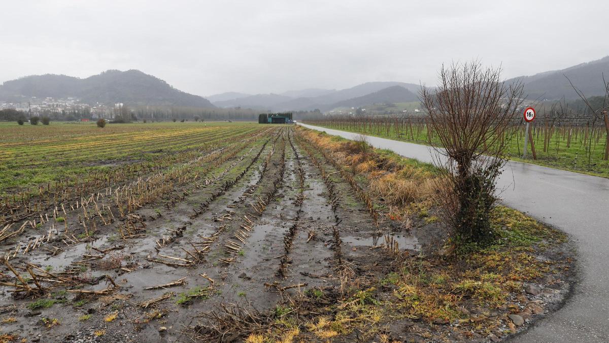 La concentración parcelaria de Santiago reduce a la mitad las fincas y mejora diez kilómetros de accesos