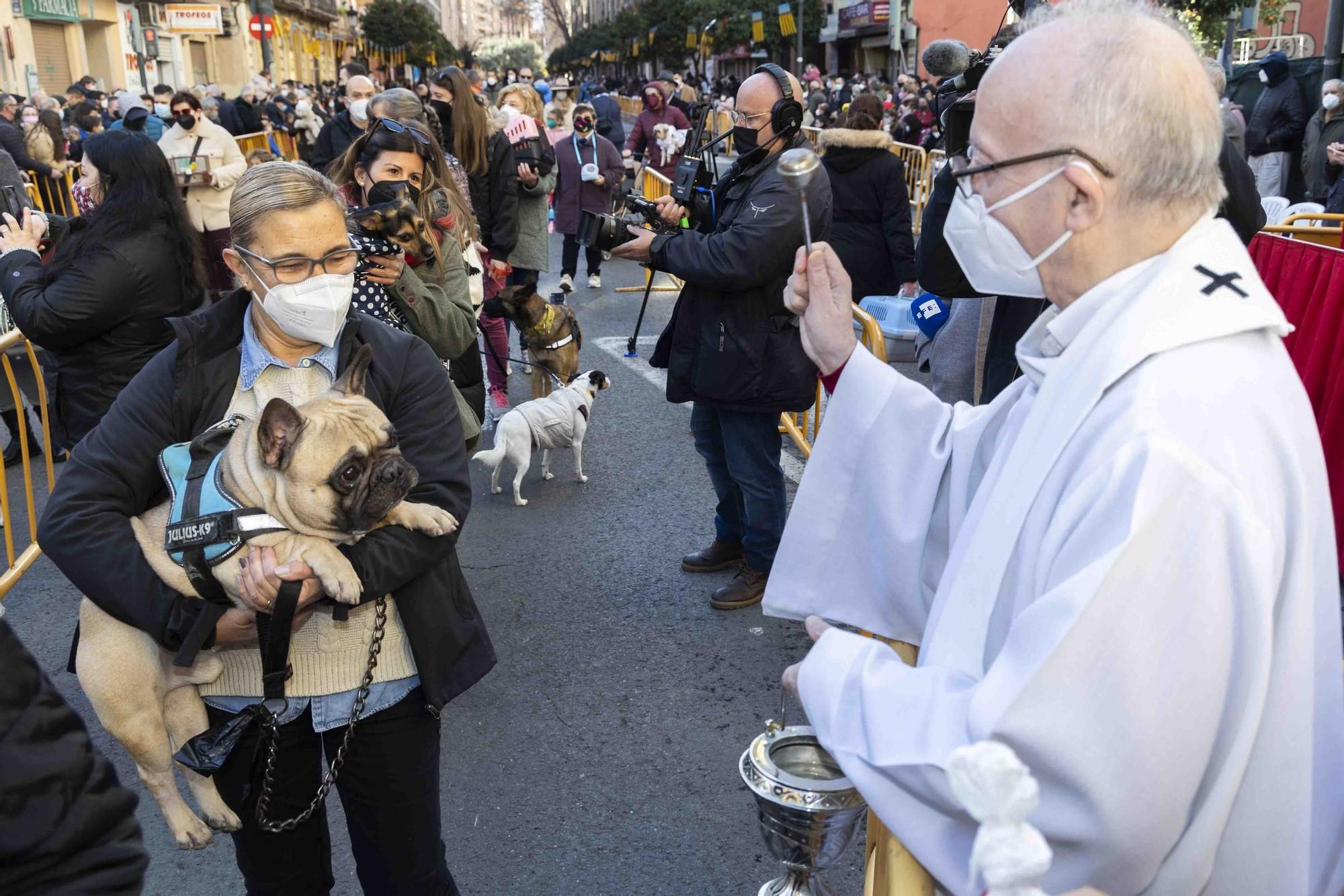 Búscate en la bendición de animales de Sant Antoni