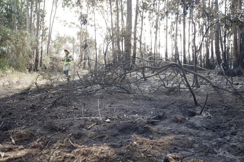 El operativo de extinción incluyó cuatro helicópteros y tres aviones y medios terrestres || Se tomó declaración a una testigo ante la sospecha de que el fuego fue provocado