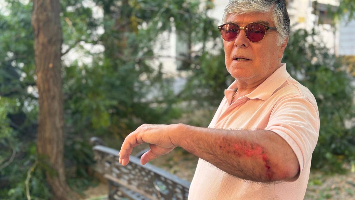 VÍDEO | Herido un hombre al caer parte de un árbol en la plaza López de Ayala de Badajoz