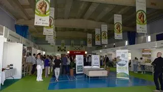 Más de 3.500 personas visitan la I Feria de Productos Ecológicos de la comarca Campo de Belchite