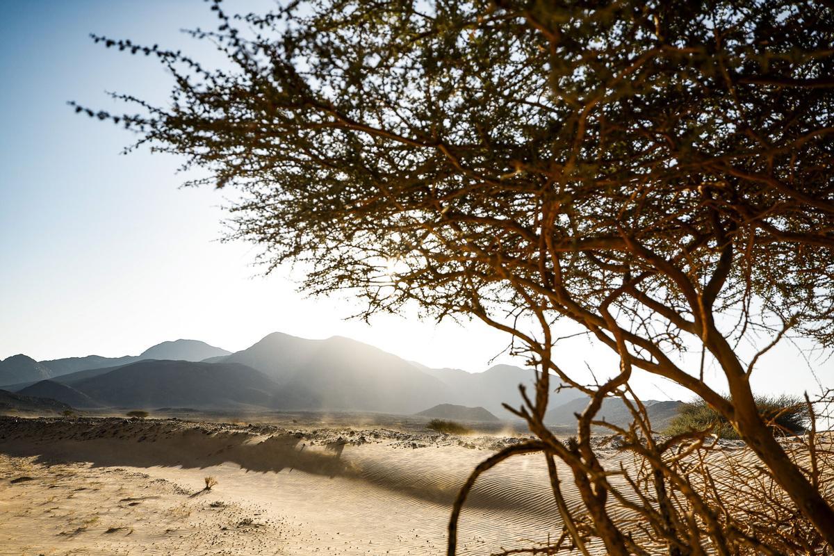 Etapa 9 del Rally Dakar 2026, en imágenes