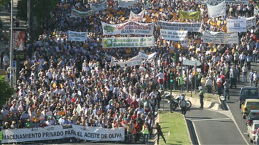 Multitudinaria manifestación en Córdoba en defensa del olivar