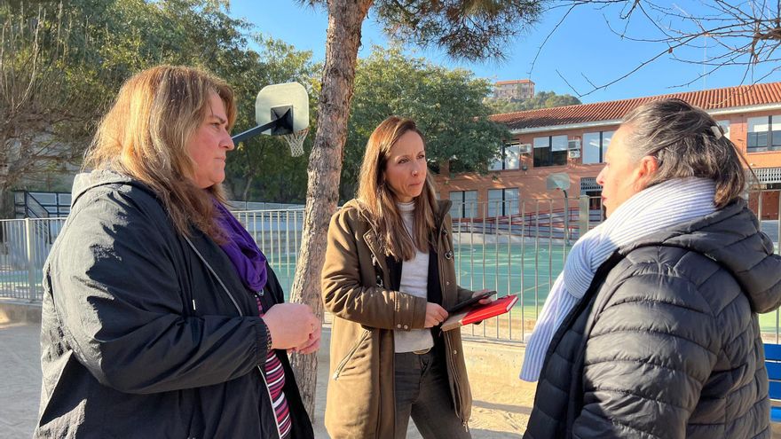 Los colegios públicos de Murcia, de contrato en contrato para el mantenimiento del arbolado