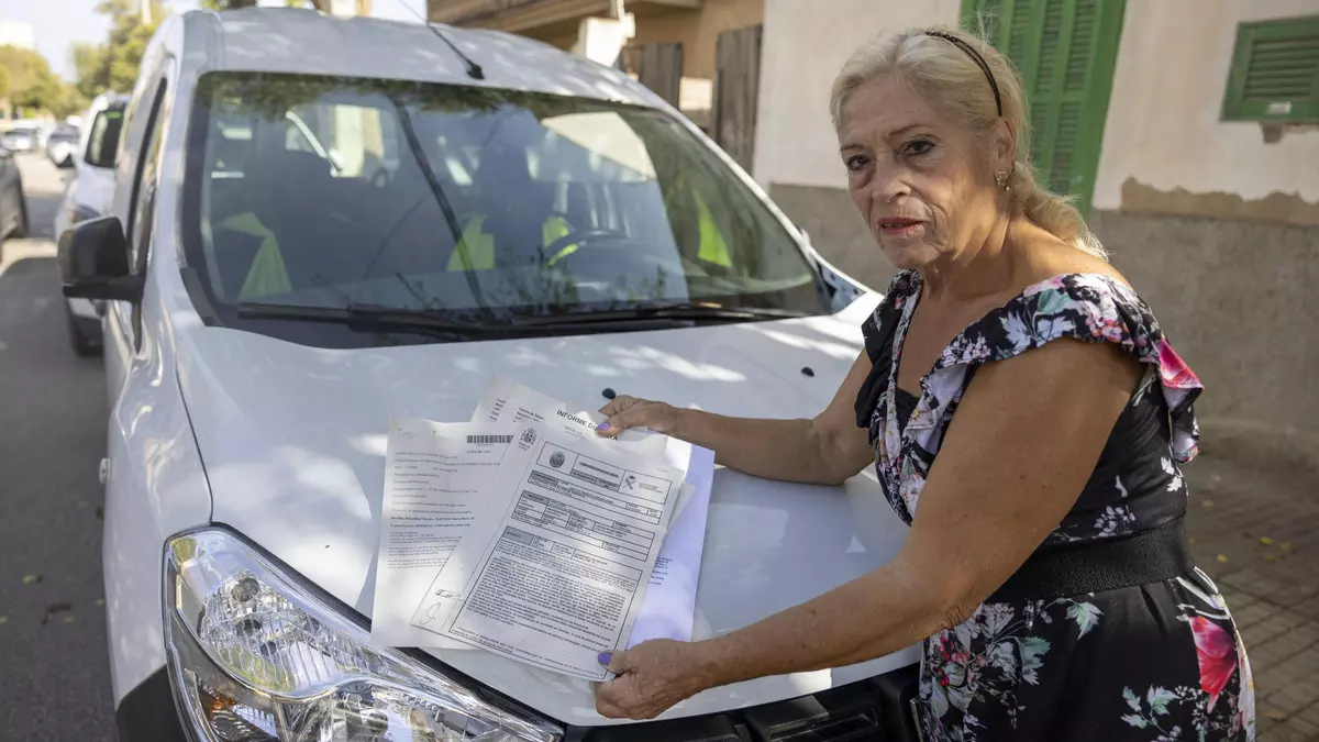 «Iba con el coche y escuché un porrazo, creí que me había explotado una rueda pero era una cabra»