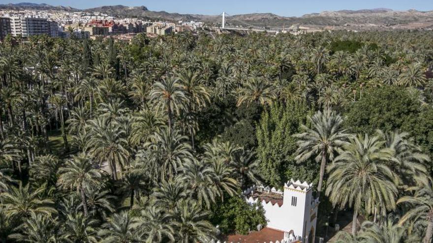 18 años como Patrimonio y con el picudo «controlado»