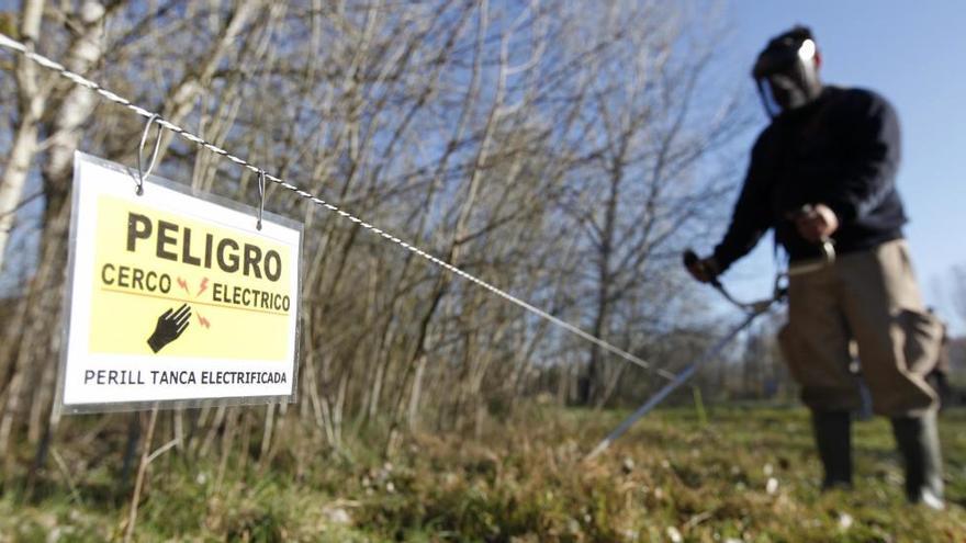 Un empleat instal·lant la tanca que s&#039;ha posat a Salt