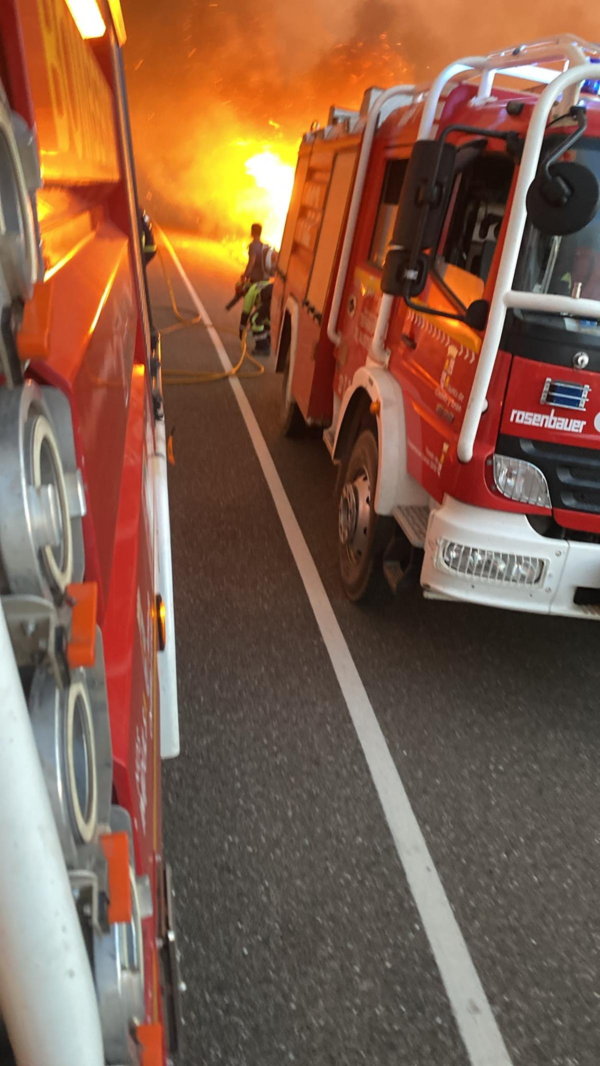 GALERÍA | Incendio forestal en Rábano de aAliste GALERÍA | Incendio forestal en Rábano de aAliste