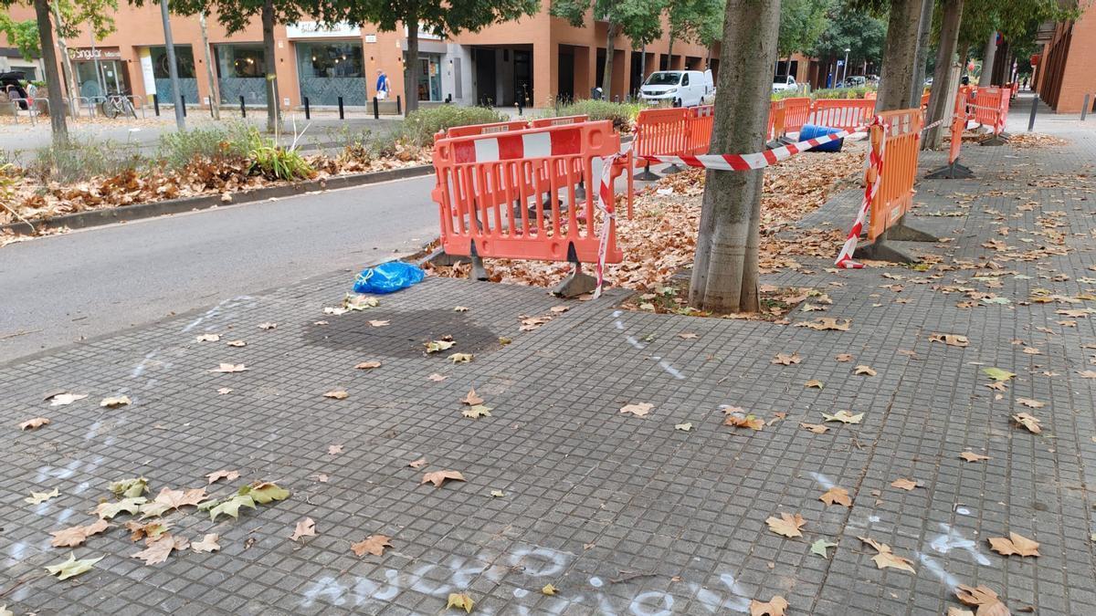 Al carrer Francesc Macià, el futur carril bici es desviarà cap a la vorera