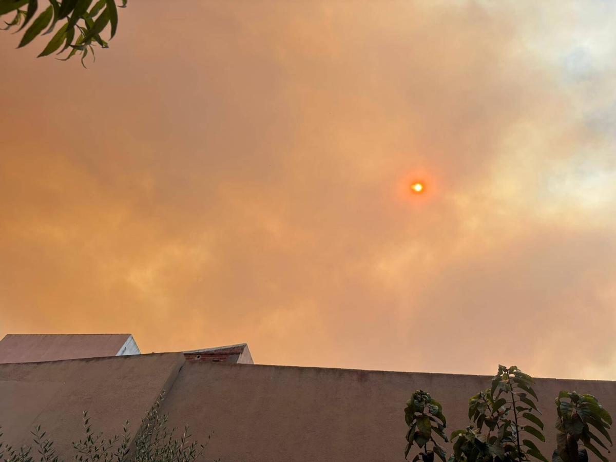 Sant Feliu de Guíxols El fum i la cendra de l'incendi de la Bisbal a peu de les Gavarres Sant Feliu de Guíxols El fum i la cendra de l'incendi de la Bisbal a peu de les Gavarres