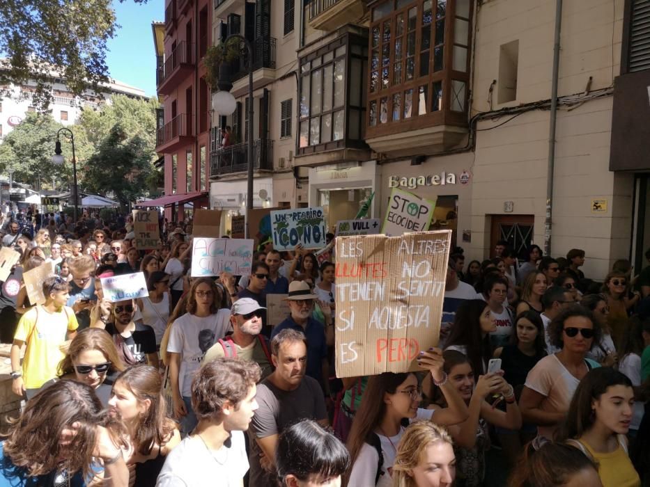 Die große Klimaschutz-Demo auf Mallorca