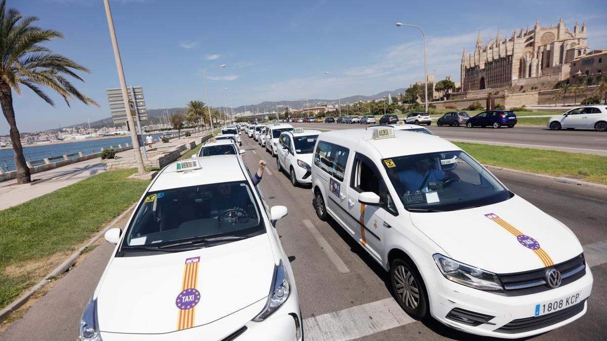 Imagen de archivo de taxis en Palma