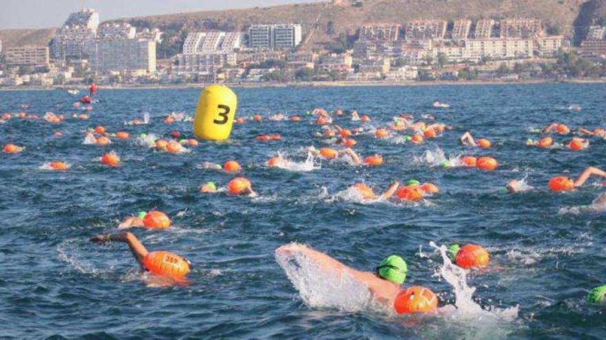 Más de 1.500 nadadores afrontan la Travesía a nado Tabarca-Santa Pola