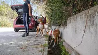 Dos nuevas fugas ralentizan la canalización de la riera de Badalona que pierde 180.000 litros al día