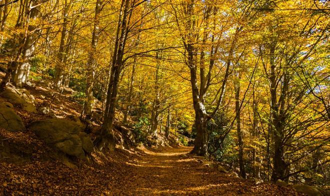 Montseny, Barcelona