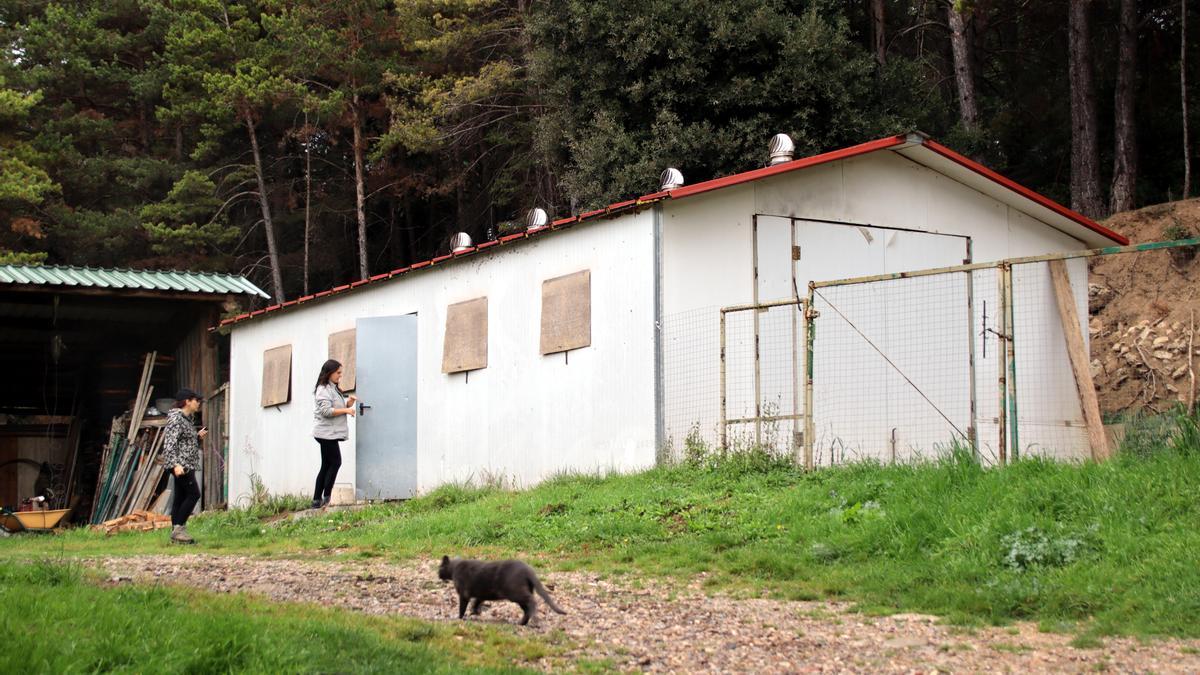 Martina Marcet tanca les portes d&#039;una de les instal·lacions per a pollastres