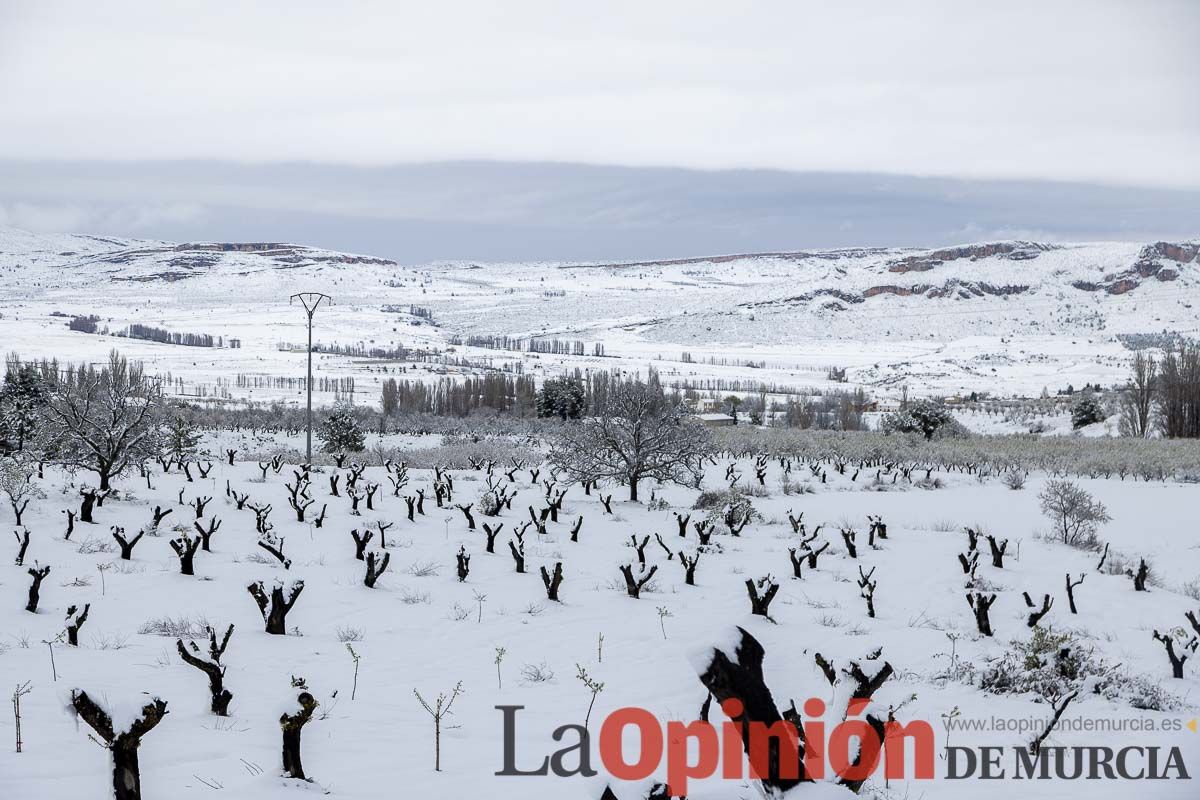 La comarca del Noroeste ofrece una estampa invernal