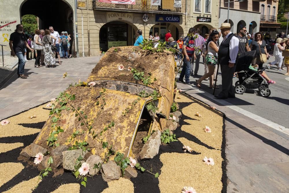 El concurs de catifes de flors naturals omple Arbúcies