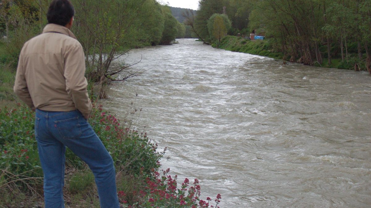 El cabal del riu Segre al seu pas per Bellver