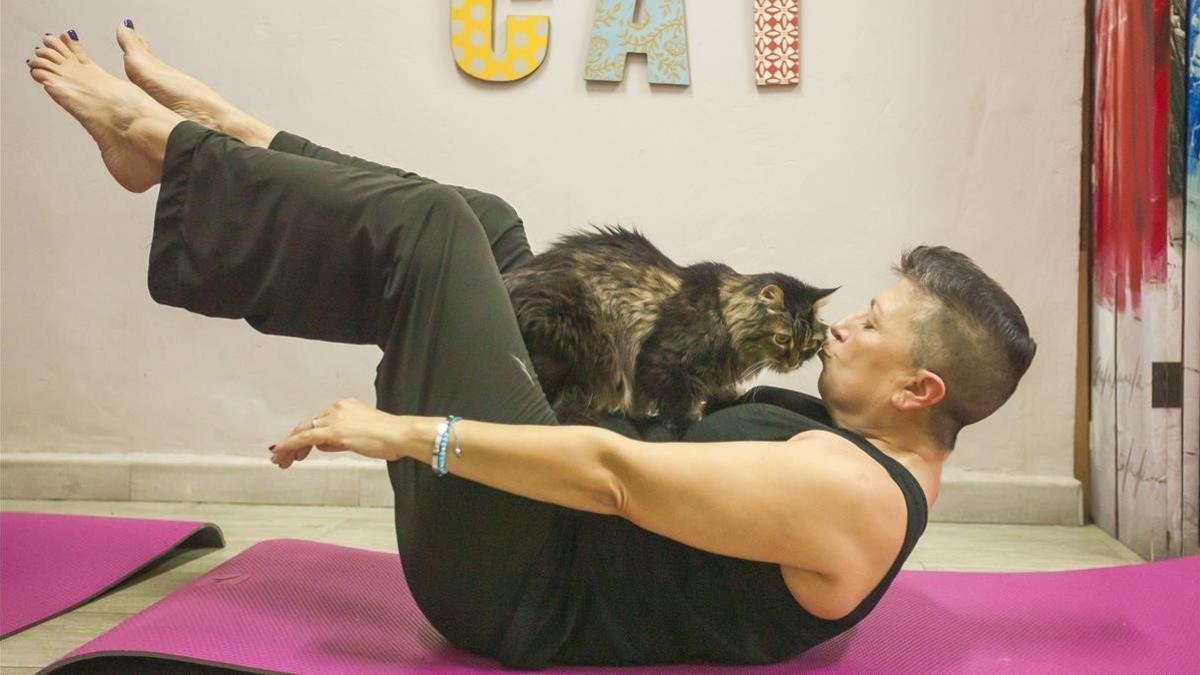 zentauroepp47939472 cat pilates190501152447