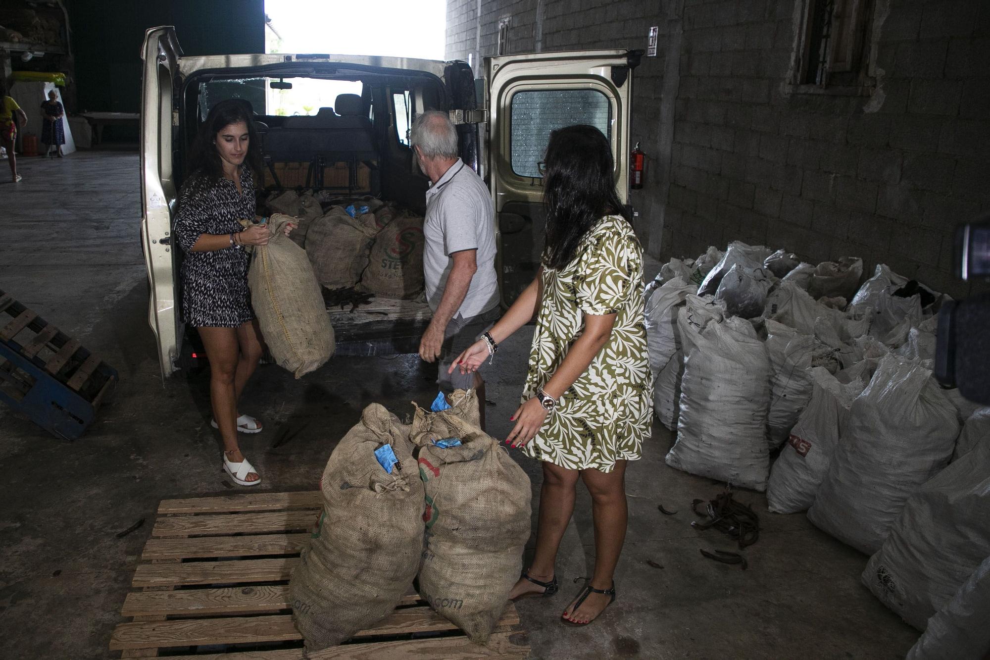 Un hombre descarga 100 kg de algarrobas para vender a un almacén de Alfarp