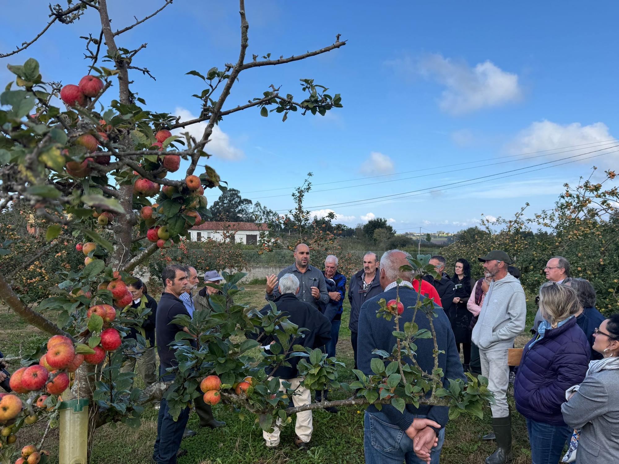 El SERIDA explica sobre el terreno las medidas de protección contra las plagas de roedores en pomaradas