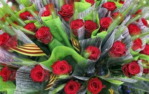 Sant Jordi 2023 a Terrassa: activitats i parades de llibres i roses