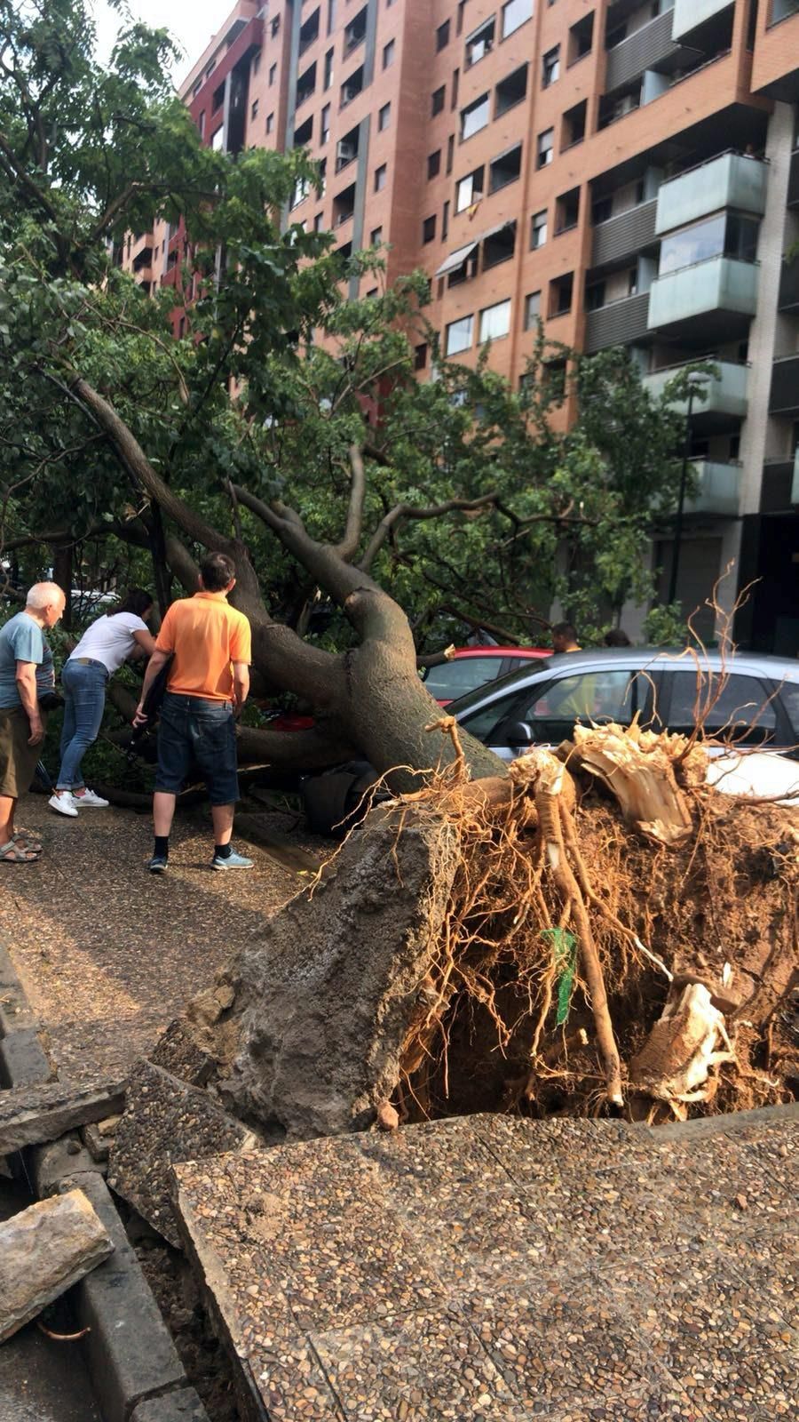 Consecuencias de la tormenta en Zaragoza