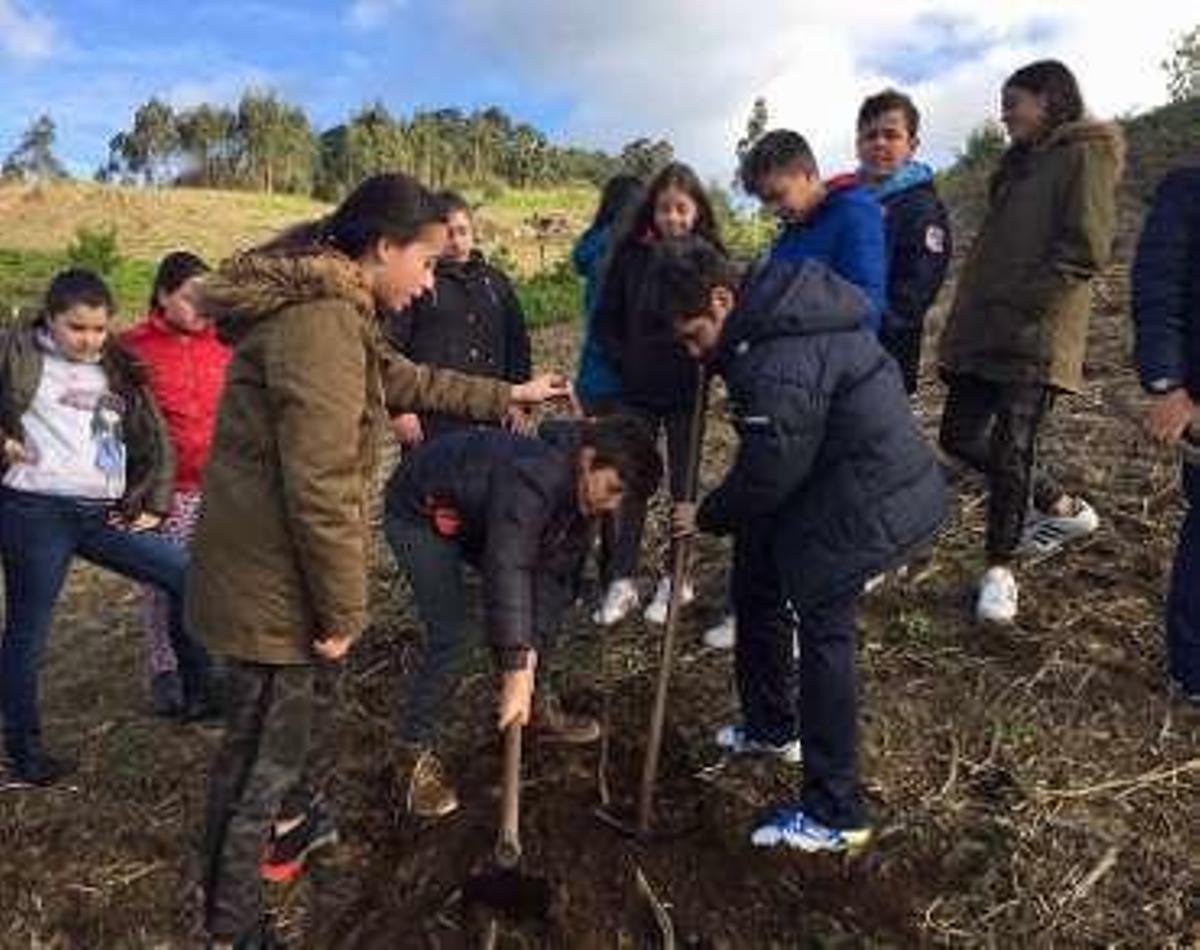 Voluntariado local, colegio Da Cruz y club Rías Baixas, premios Nigrán 2017