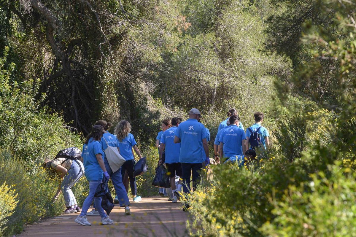 Voluntarios en plena actividad.