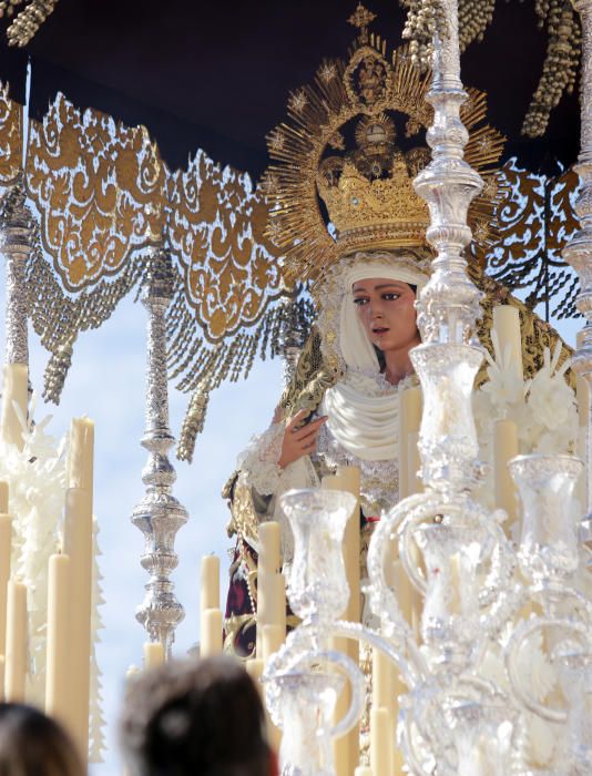 Domingo de Ramos | Salud