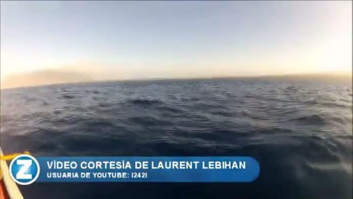 El salt d’una balena sorprèn uns nord-americans