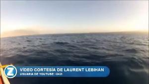 El salt d’una balena sorprèn uns nord-americans