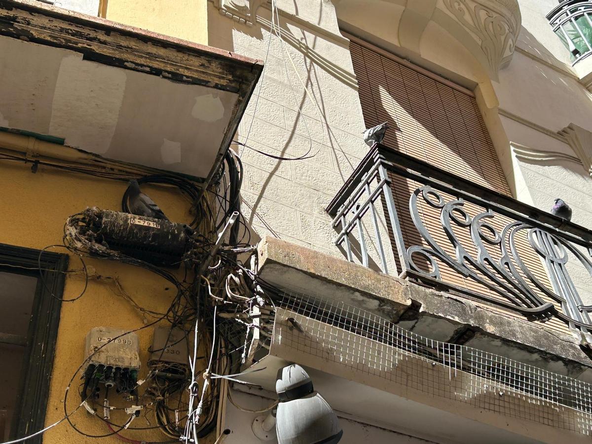 Fotogalería | Los vecinos del Casco Antiguo de Badajoz se quejan de las palomas