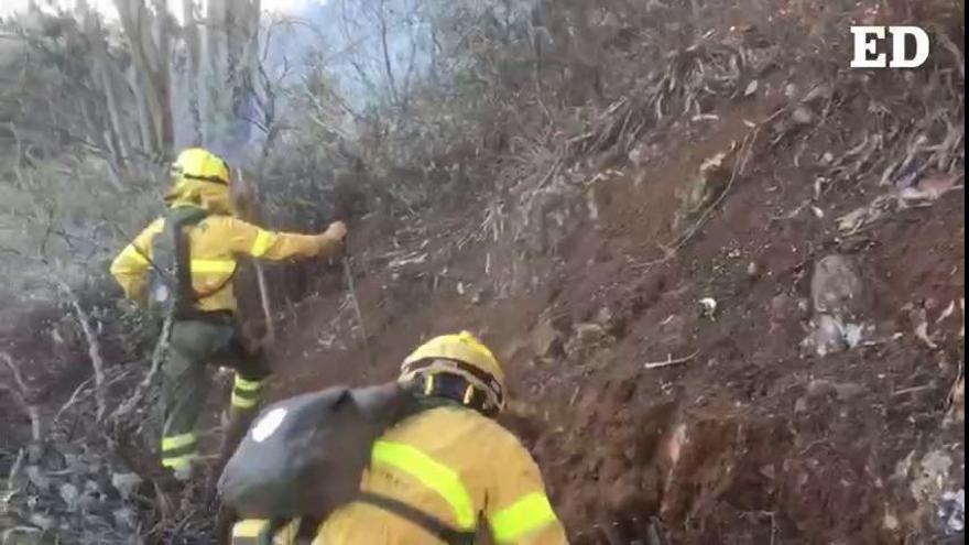Miembros de las Brifor Tenerife trabajan para acabar con el incendio de Gran Canaria